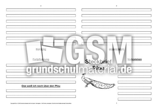 Pfau-Faltbuch-vierseitig-2.pdf